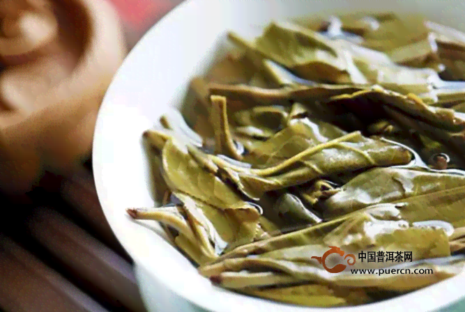 普洱茶与绿茶味道对比：探索普洱生茶与绿茶口感的区别