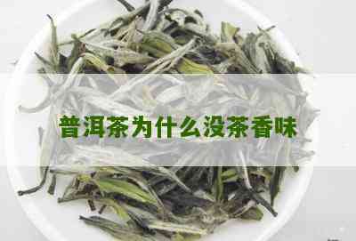 普洱茶没有绿茶的清香吗