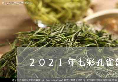 七彩缤纷茶品宴：雀系列普洱茶套装，品味非凡品质