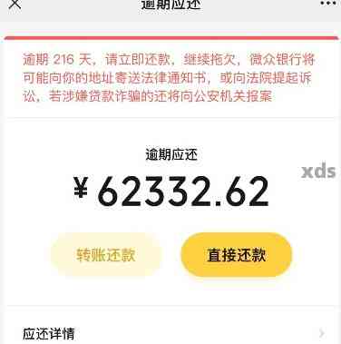 微粒贷逾期2万：起诉时间节点与影响因素全解析