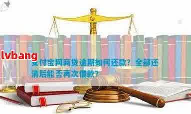 掌握网商贷期还款秘诀，有效解决逾期困扰