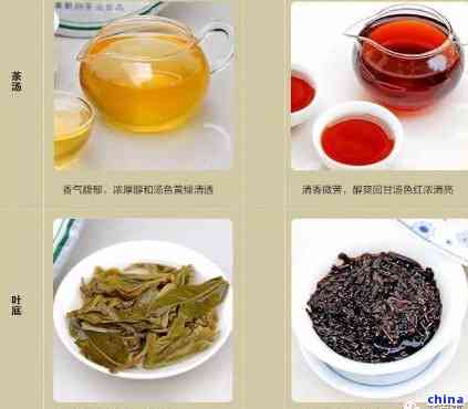 普洱茶的种类与区别：探究最有争议的茶叶品种