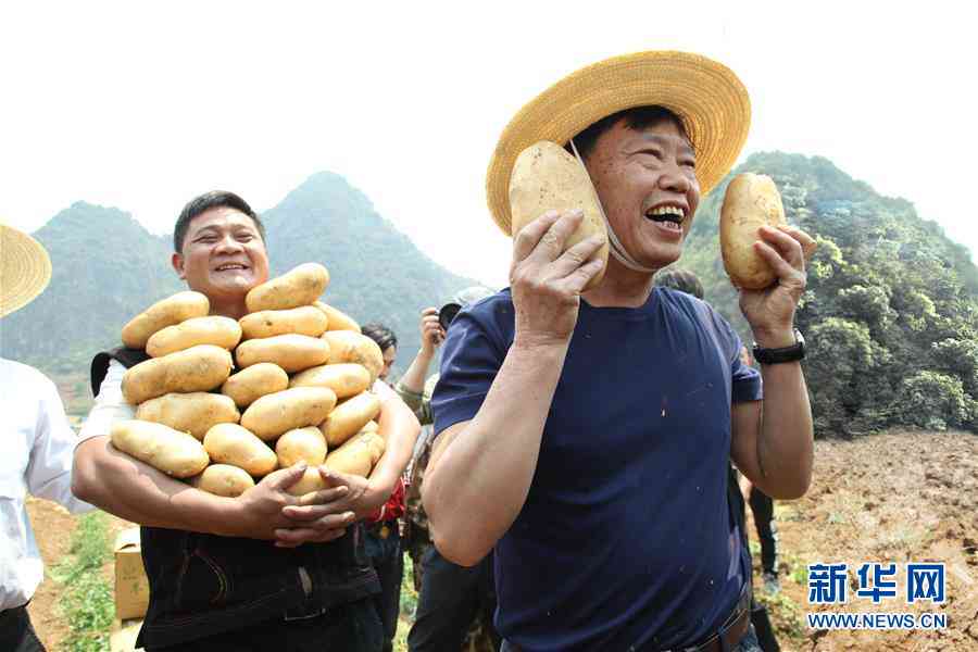 普洱茶直播平台哪家好？普洱茶直播带货平台推荐排行！