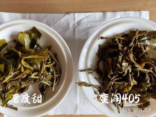 普洱茶品尝指南：如何选择口感微苦的茶叶品种，哪种更适合你？