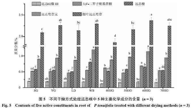 深度解析：普洱茶中的苦味成分及其影响