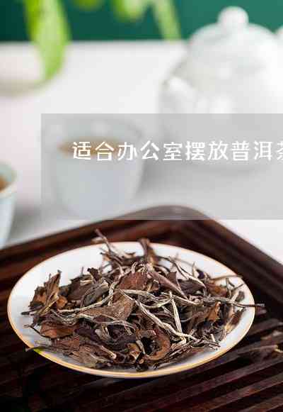 用普洱茶泡茶好吗