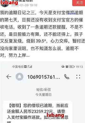 支付宝借呗逾期，上门核实时是否可以拨打110报警？