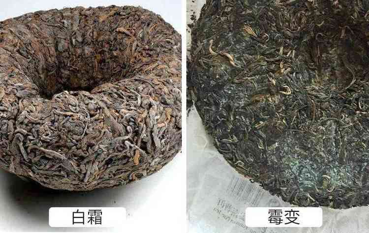 全方位指南：如何确保普洱茶保存完好，避免破皮发霉的困扰