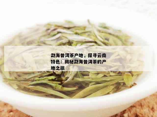 勐海普洱茶产区特点与分布：揭示云南优质茶叶的产地及特色。