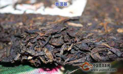 普洱茶里发现虫子，是否还能继续饮用？如何处理？