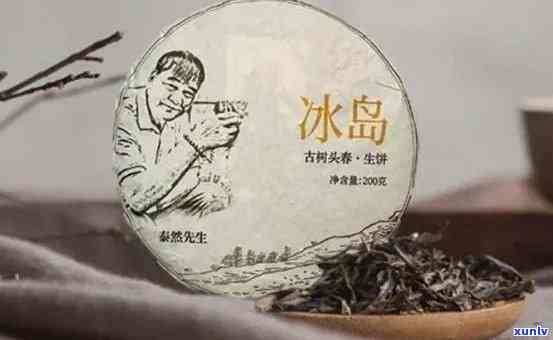 冰岛砖茶普洱茶：哪个更好喝？