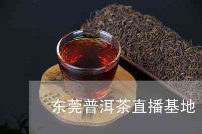 东莞市常平普洱茶直播间