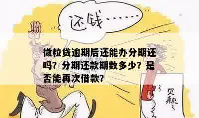 微粒贷逾期后可以分多少期还款？逾期后能再借吗？