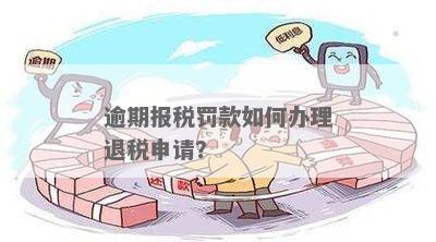 税务逾期能做留抵退税吗