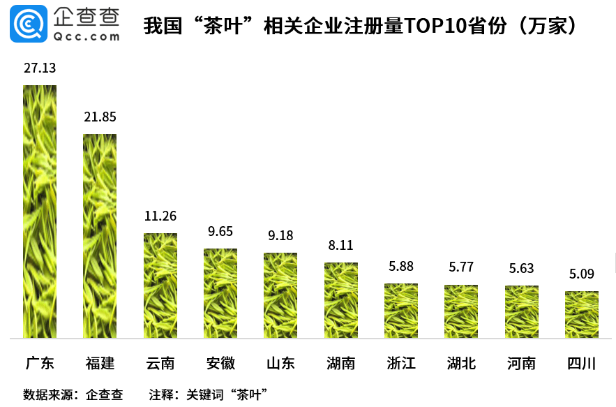 广东地区普洱茶存期限：影响因素及其探讨