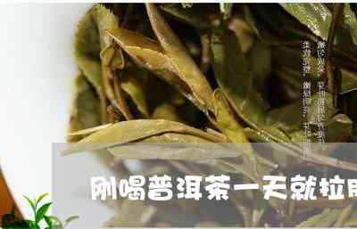 普洱茶喝了拉肚子正常吗