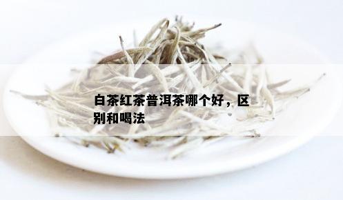 红茶、普洱茶与白茶：口感对比与选择指南，哪个更适合你？