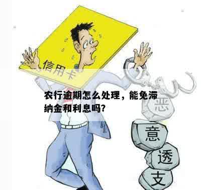 农行信用卡逾期处理策略：如何减免滞纳金与利息？政策协商可行吗？