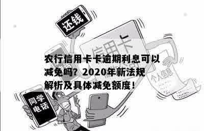 关于农业银行信用卡逾期政策的详细介绍与优减免措