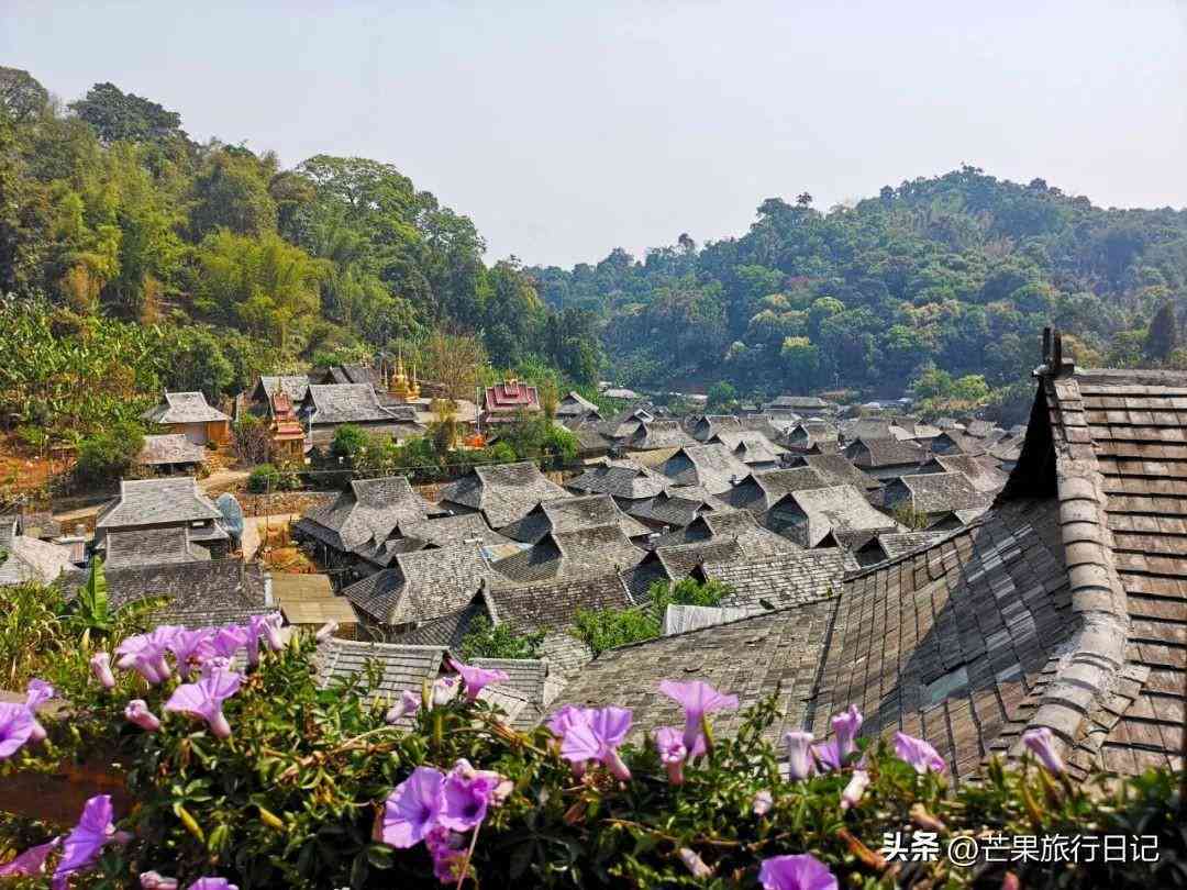 云南普洱同心镇：探秘古茶文化、体验当地风情和美食的完美之地