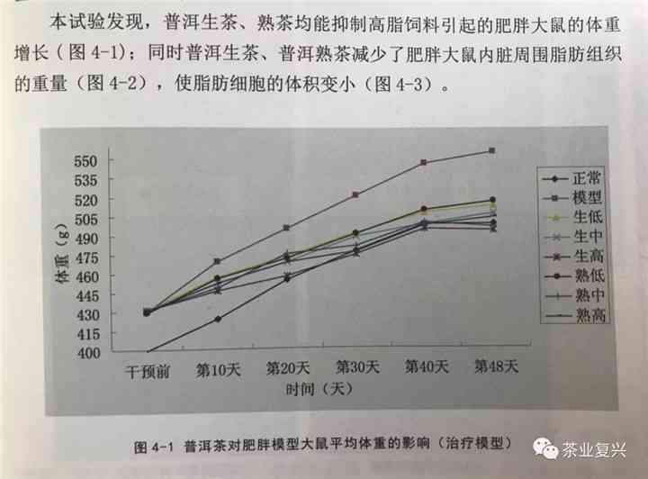 新普洱茶中的成分如何帮助控制体重？