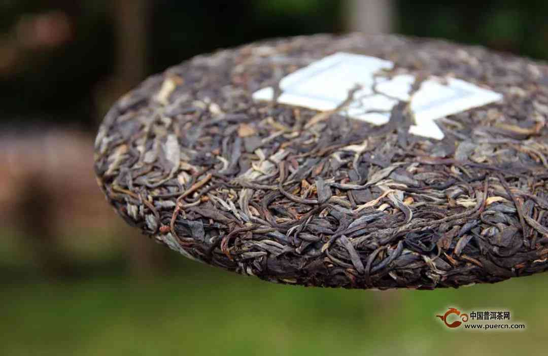 福建人在山东销售普洱茶饼的市场表现及其口感体验分析