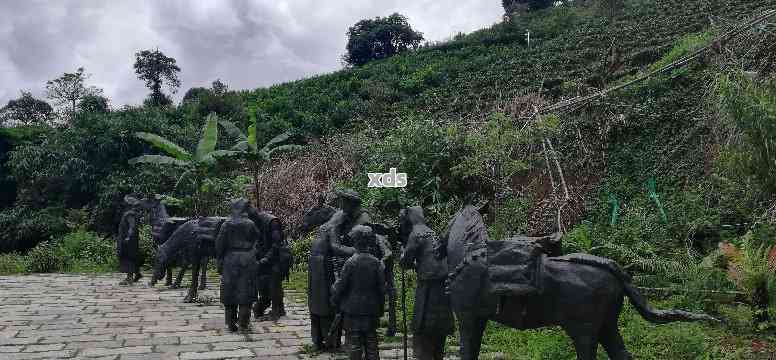 茶马古道上的历与现代：探索普洱茶文化的丰富内涵与品鉴技巧