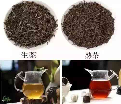 聘号普洱茶：品质越，价格实的生茶选择