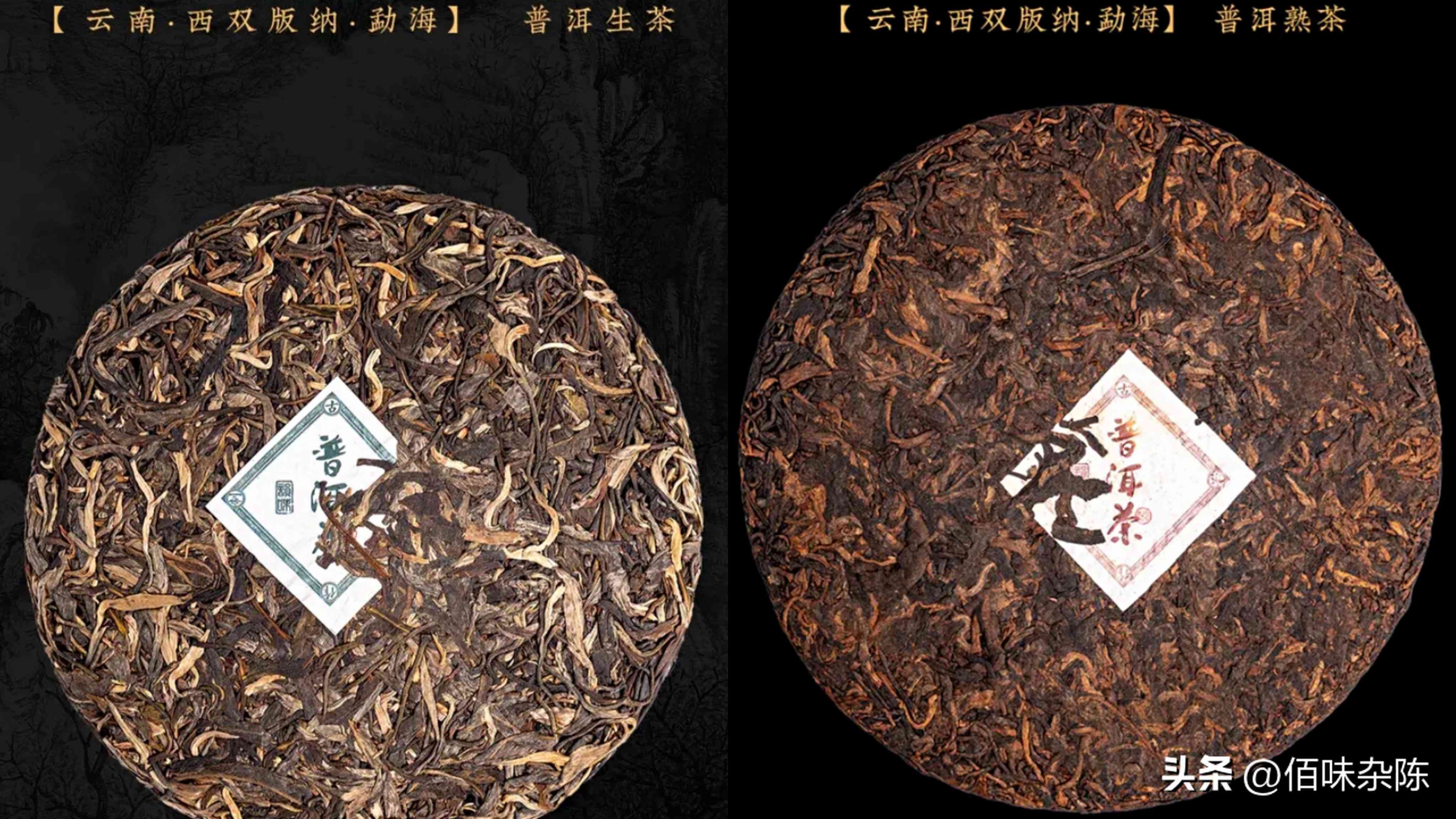 全方位解析：如何挑选和存普洱茶，让你的茶越放越好喝！