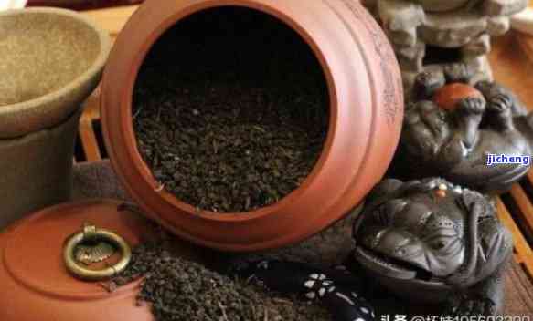 全方位解析：如何挑选和存普洱茶，让你的茶越放越好喝！