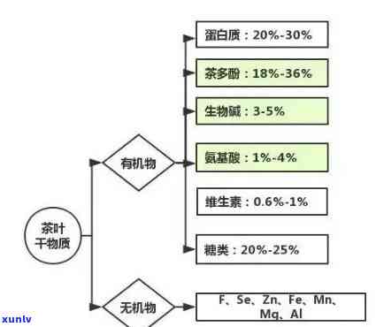 对进口茶叶的检测标准及相关要求