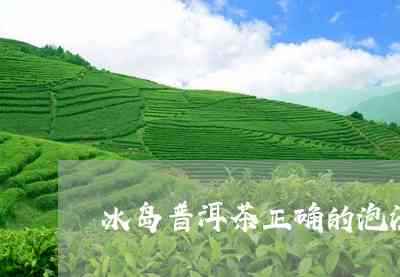 冰岛普洱茶柠檬茶怎么泡才好喝：完整冲泡方法与技巧