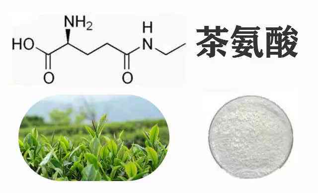 莫西沙糯化：制作方法、用途与食用效果的全面解析