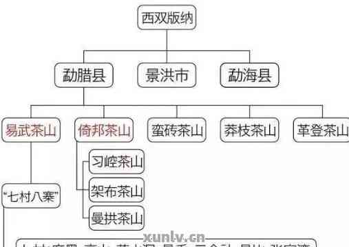 普洱茶一线：哪些牌子，名字与好处？