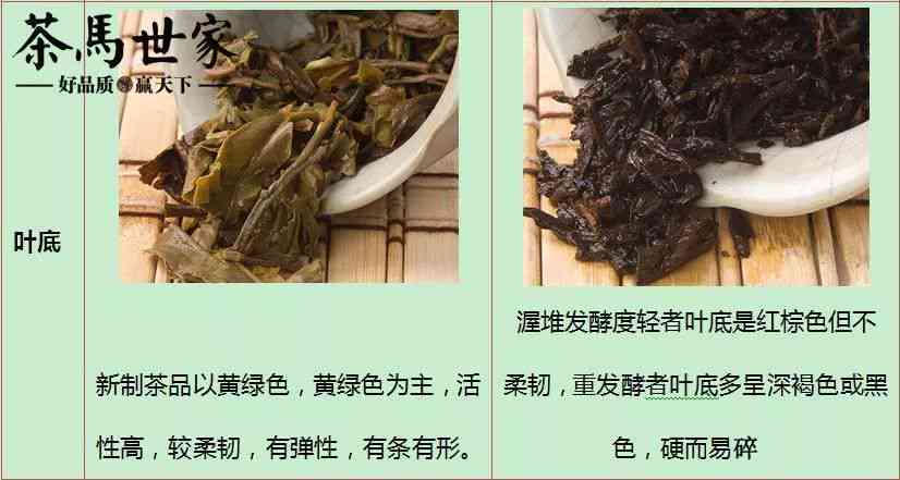 探究普洱茶存放时间，品味生茶与熟茶的差异