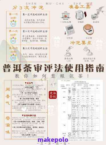 普洱茶实验法实例分享：写法指南