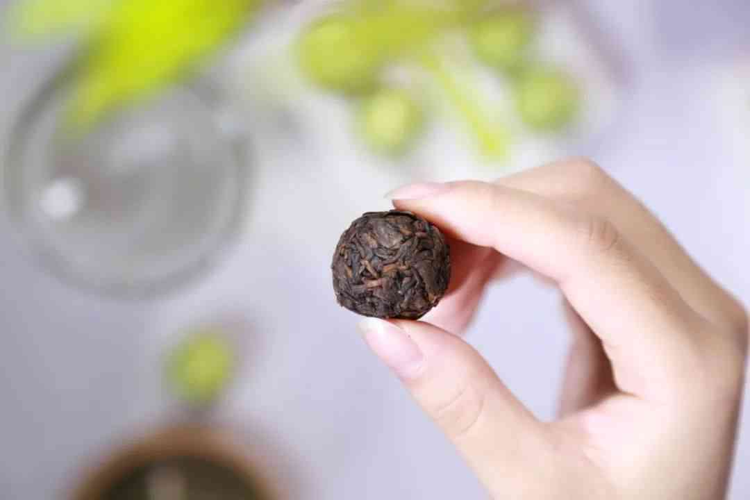 探究普洱茶的两种形态：饼子与散茶，哪一种更适合你？