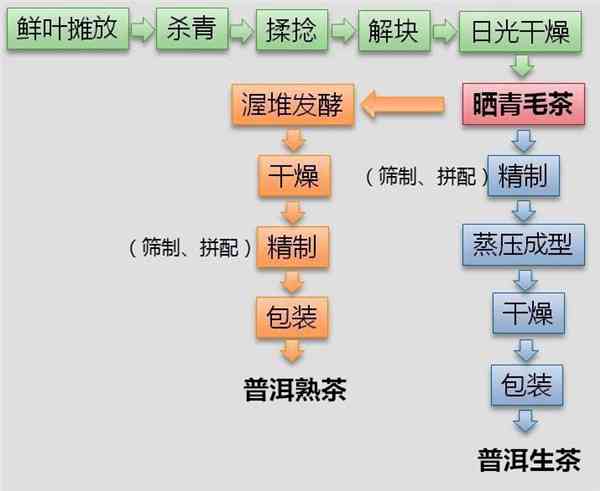 大雪山普洱茶价格区间、品质以及购买渠道全面解析，助您轻松挑选心仪好茶！