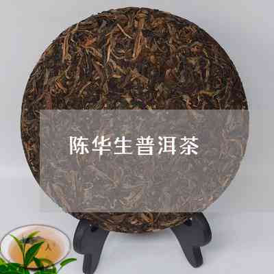 陈华普洱茶生茶还是熟茶