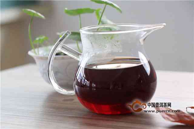 永明普洱茶新茶价格多少