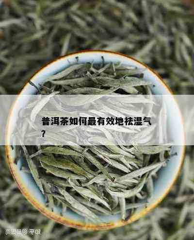 可以去湿的普洱茶有哪些