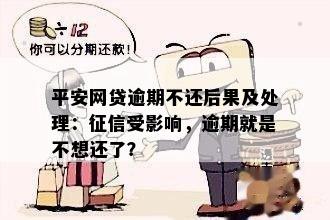 平安贷款逾期应对方案：后果、公司处理及影响全解析