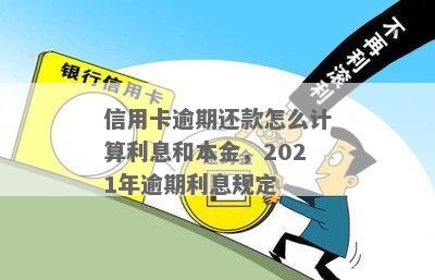 2021年信用卡逾期还款利息详细解析与计算方法