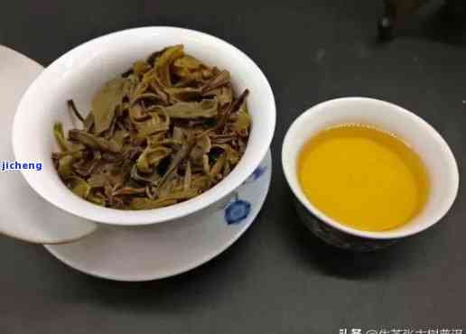 庆号云南精选普洱茶：品质之选，品茗之道