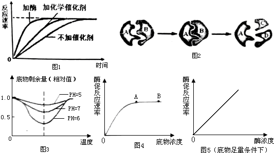 和田玉紫外线可见光谱特性解析及相关问题解答