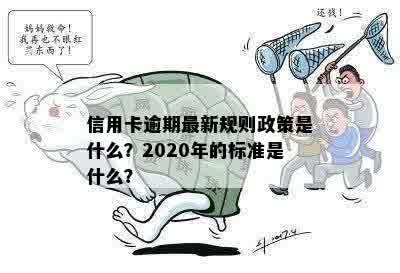 2020年信用卡逾期退息新规定：银行操作与政策全解析