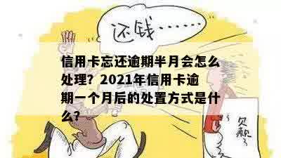 逾期半个月累计十多次该如何处理？全面解决方案一览！