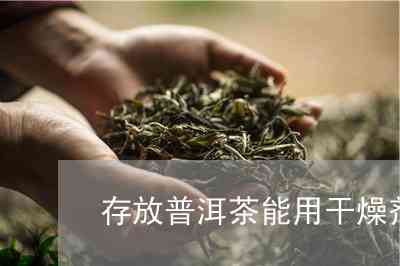 普洱茶存放是否需要使用干燥剂？