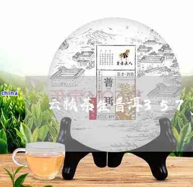 云桢号茗月普洱茶357克：品质、产地、制作工艺及冲泡方法的全面解析