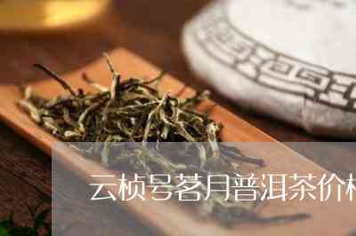 云桢号茗月普洱茶怎么样